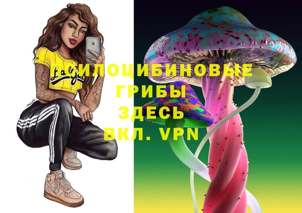 молекула духа Алексеевка