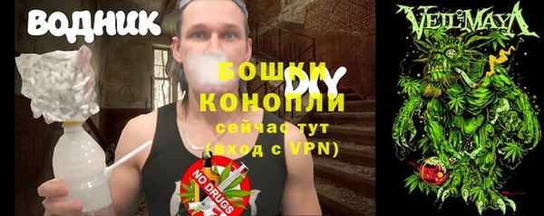 молекула духа Алексеевка