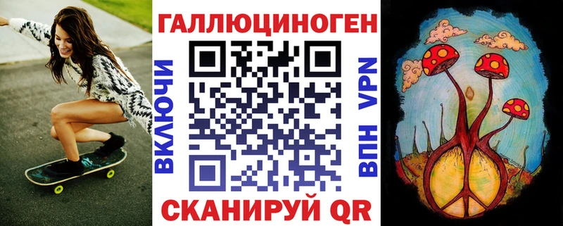 Галлюциногенные грибы Psilocybe  где купить   Бердск 
